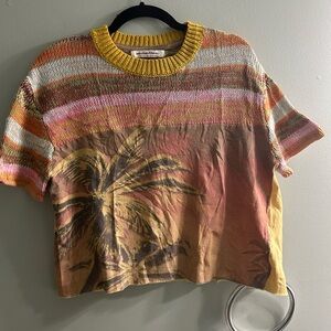 Free people we the free cropped t shirt